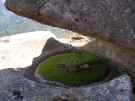 thumbs/dscn2641_Garten auf gipfel.JPG.jpg